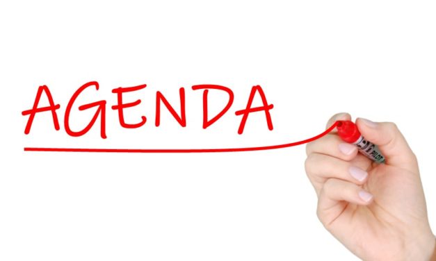 Constitution Committee Meeting Agenda