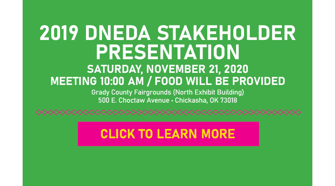2019 DNEDA Stakeholders Presentation