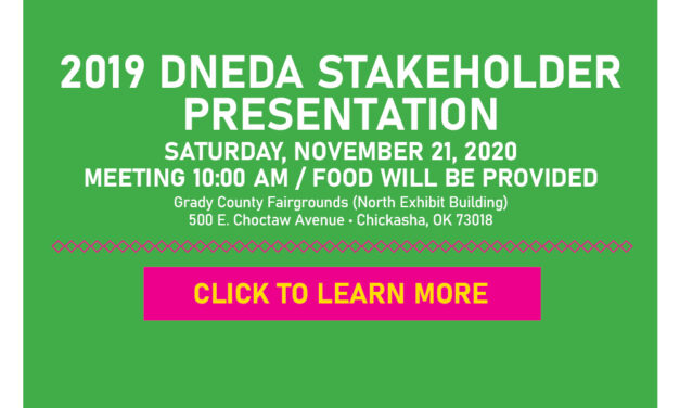2019 DNEDA Stakeholders Presentation