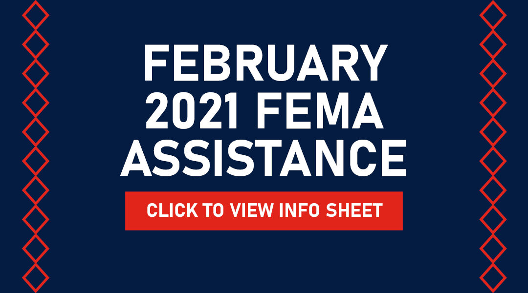Winter Storm February 2021 FEMA Assistance Information