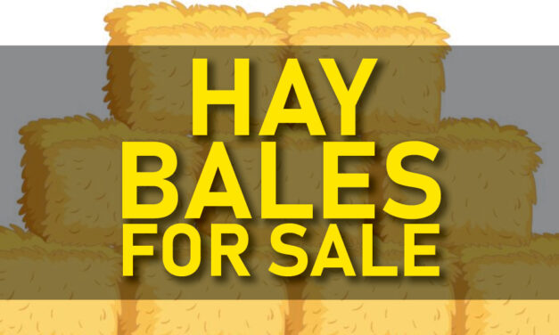 Delaware Nation Facilities Department Has *Straw* Bales For Sale